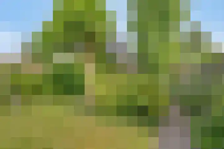 Arthur van Schendelstraat 30 Gemert thumbnail 33