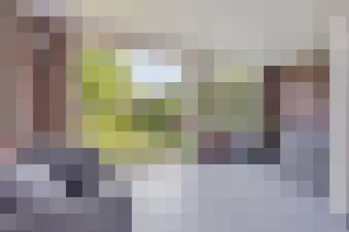 Arthur van Schendelstraat 30 Gemert thumbnail 4