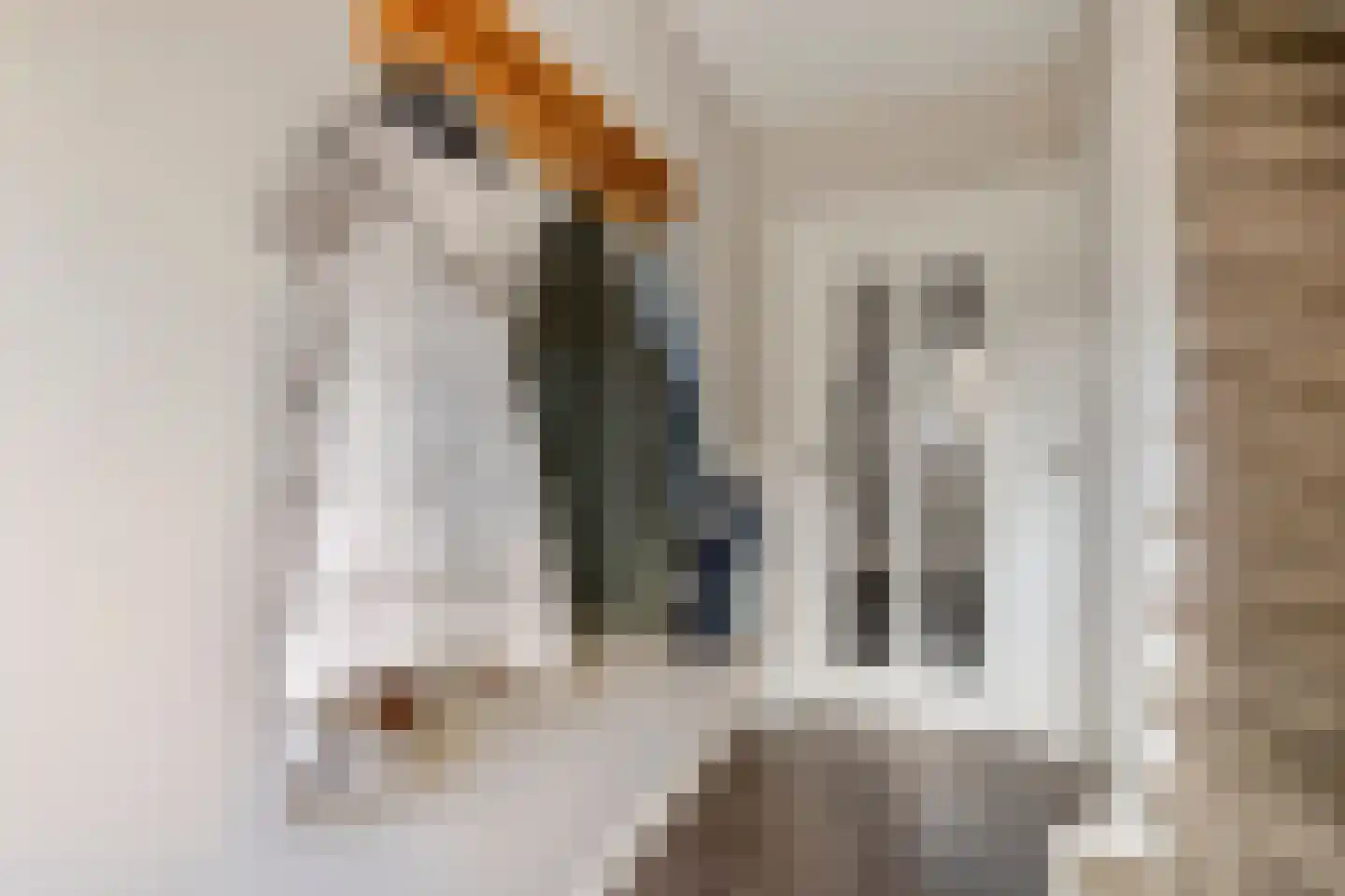 Arthur van Schendelstraat 35 Gemert thumbnail 10