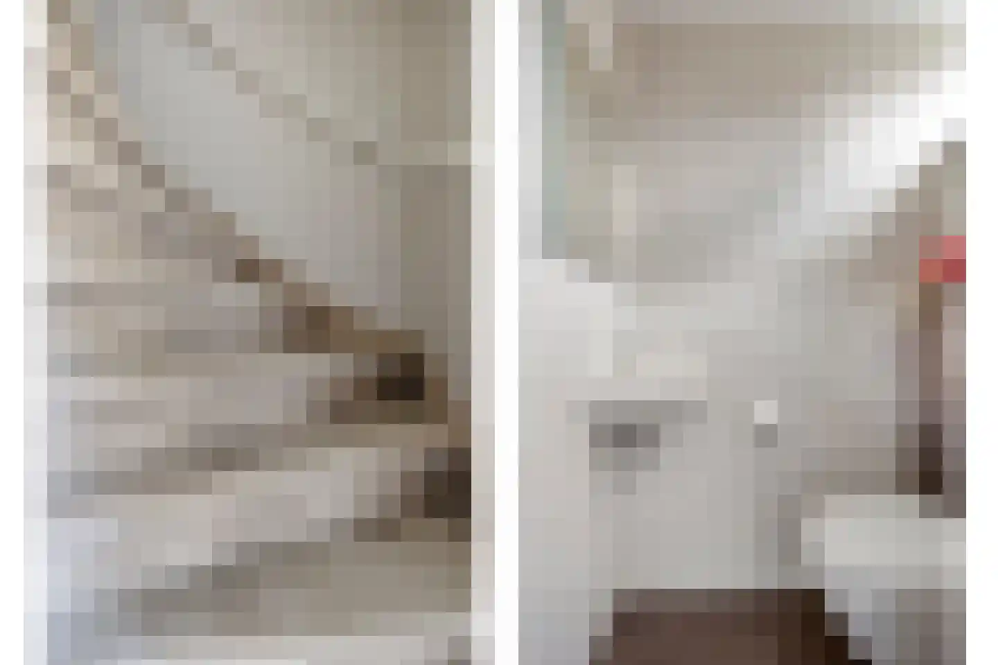 Arthur van Schendelstraat 35 Gemert thumbnail 11