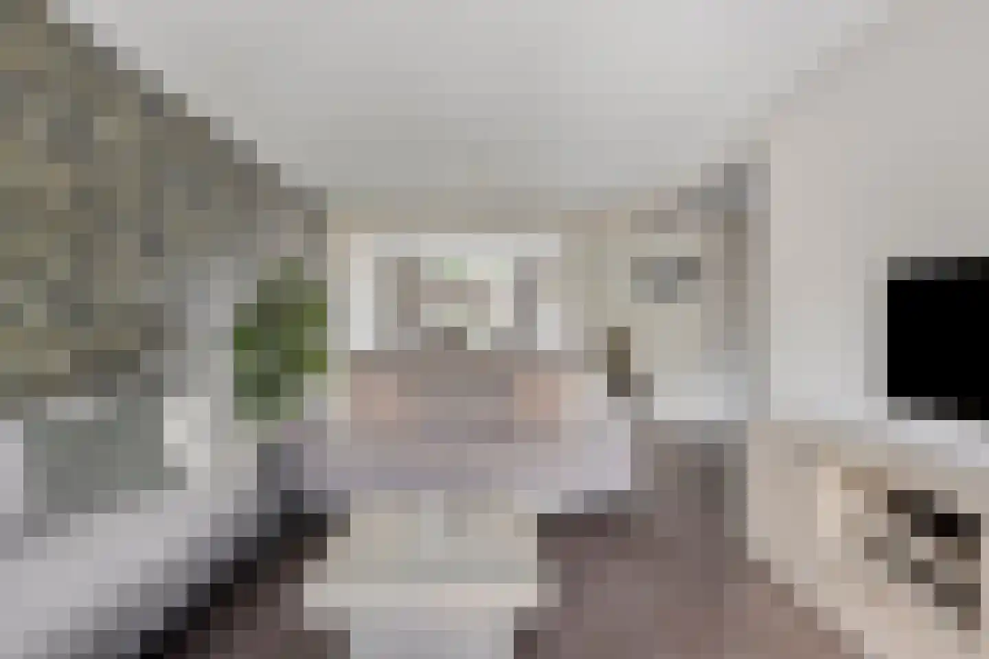Arthur van Schendelstraat 35 Gemert thumbnail 13