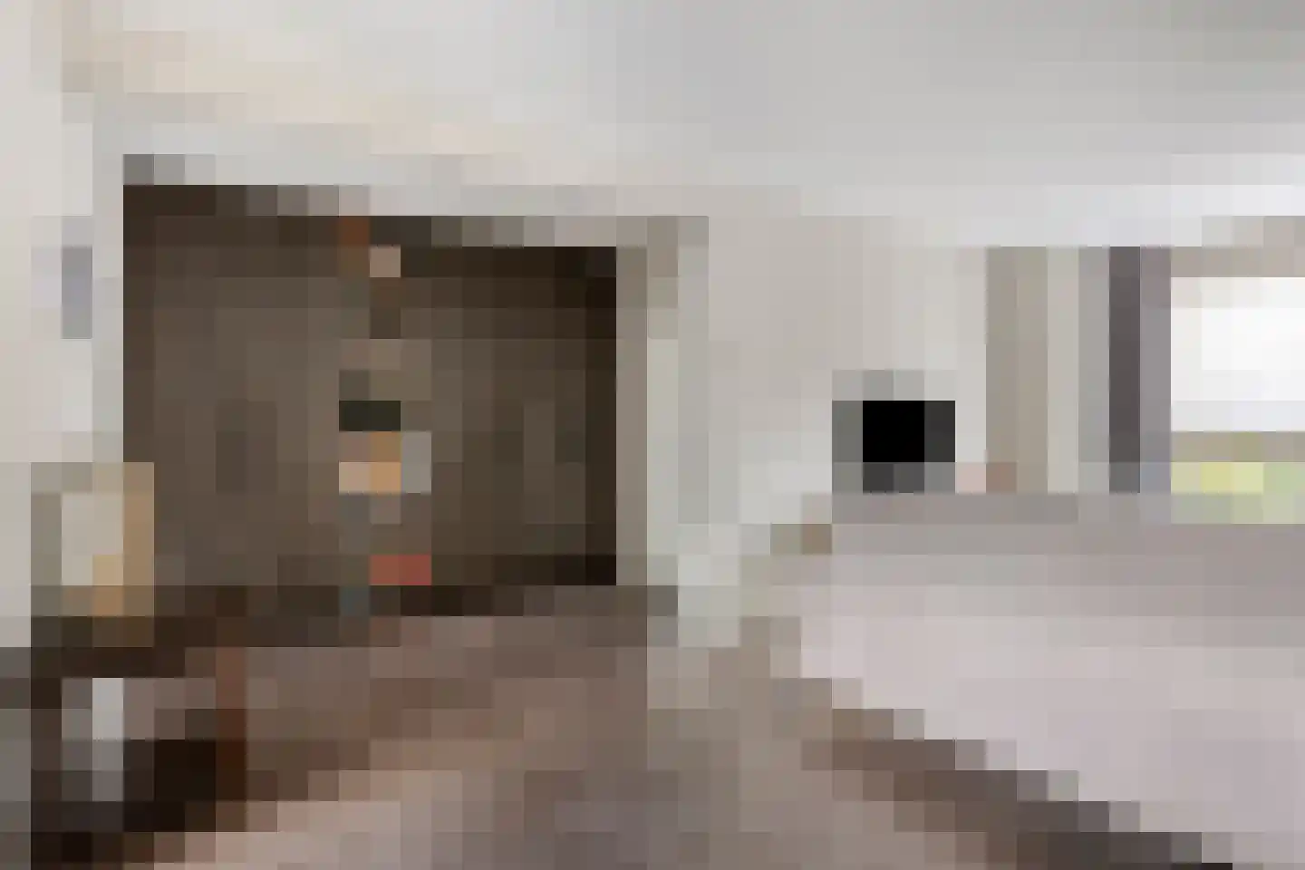 Arthur van Schendelstraat 35 Gemert thumbnail 14