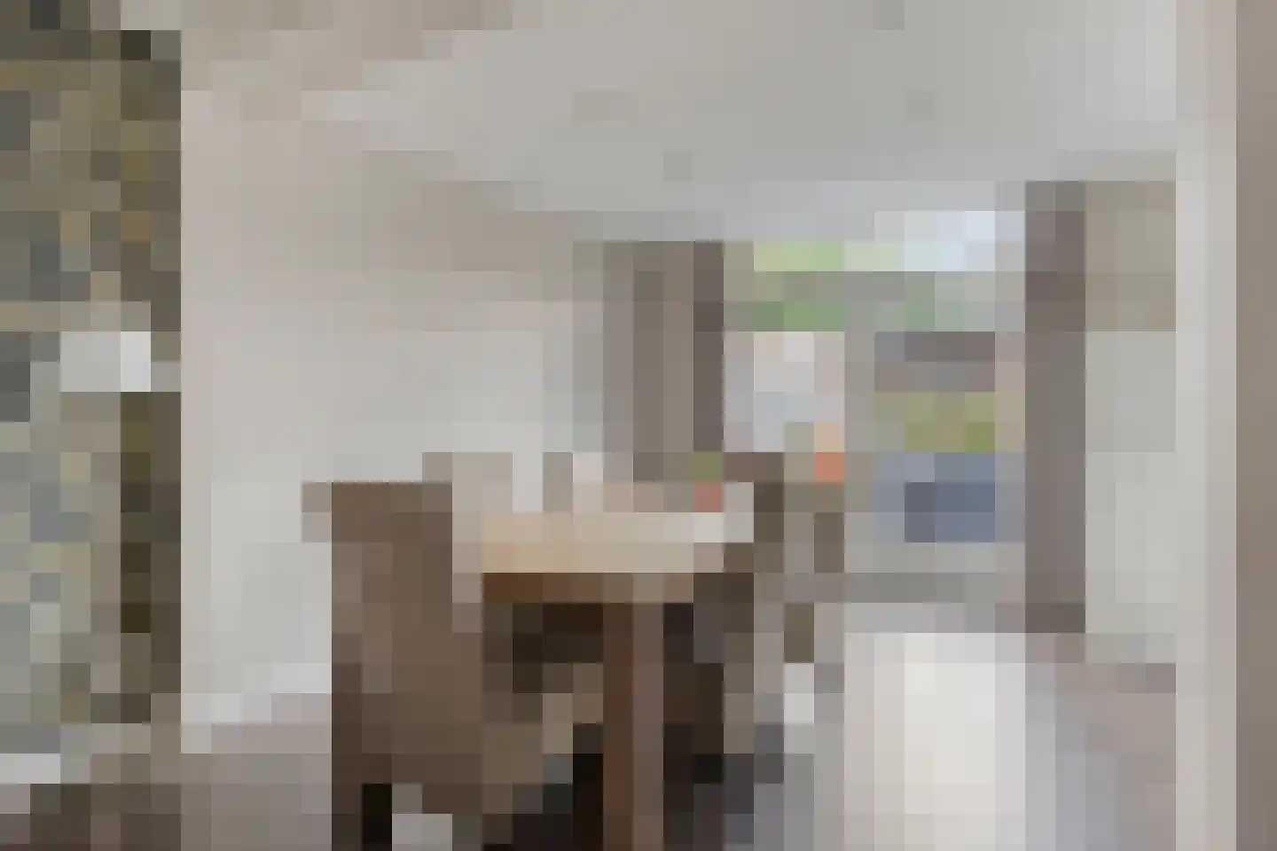 Arthur van Schendelstraat 35 Gemert thumbnail 15