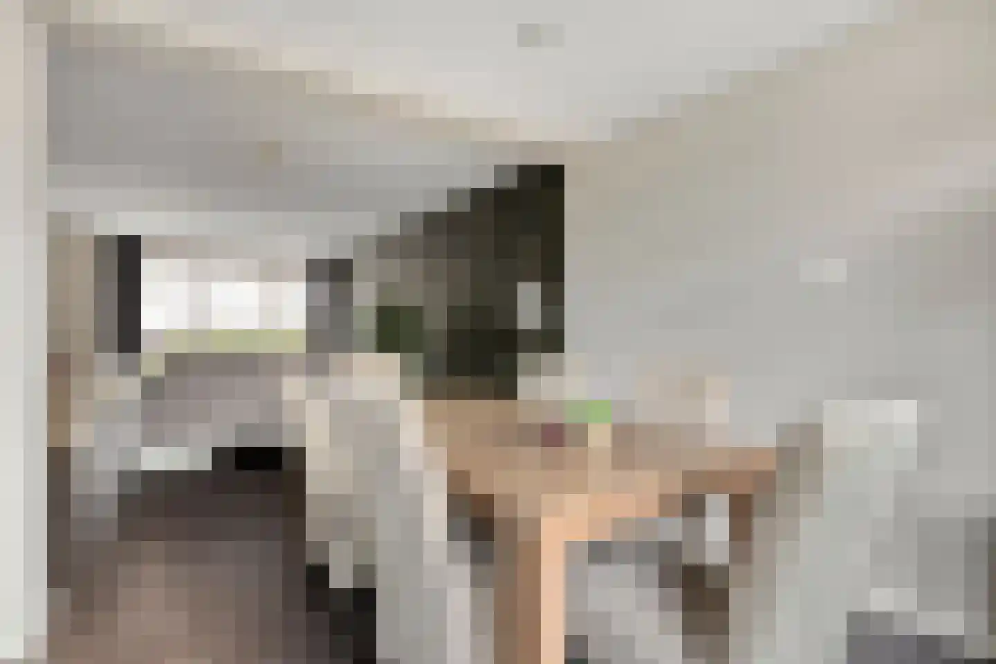 Arthur van Schendelstraat 35 Gemert thumbnail 16