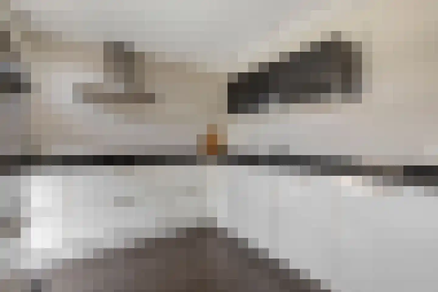 Arthur van Schendelstraat 35 Gemert thumbnail 21