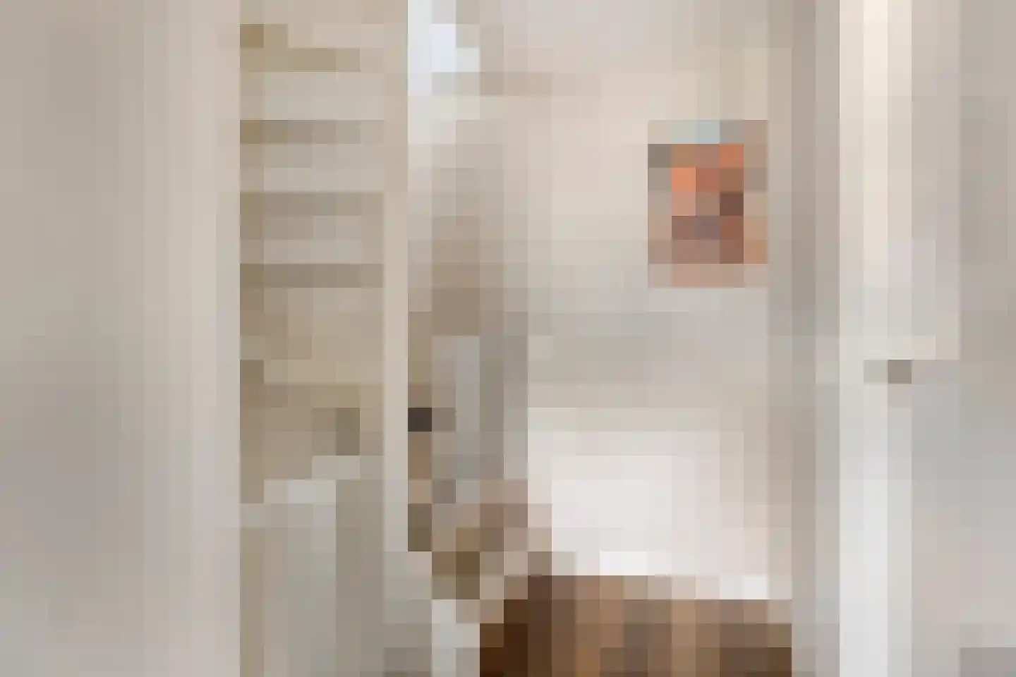 Arthur van Schendelstraat 35 Gemert thumbnail 25