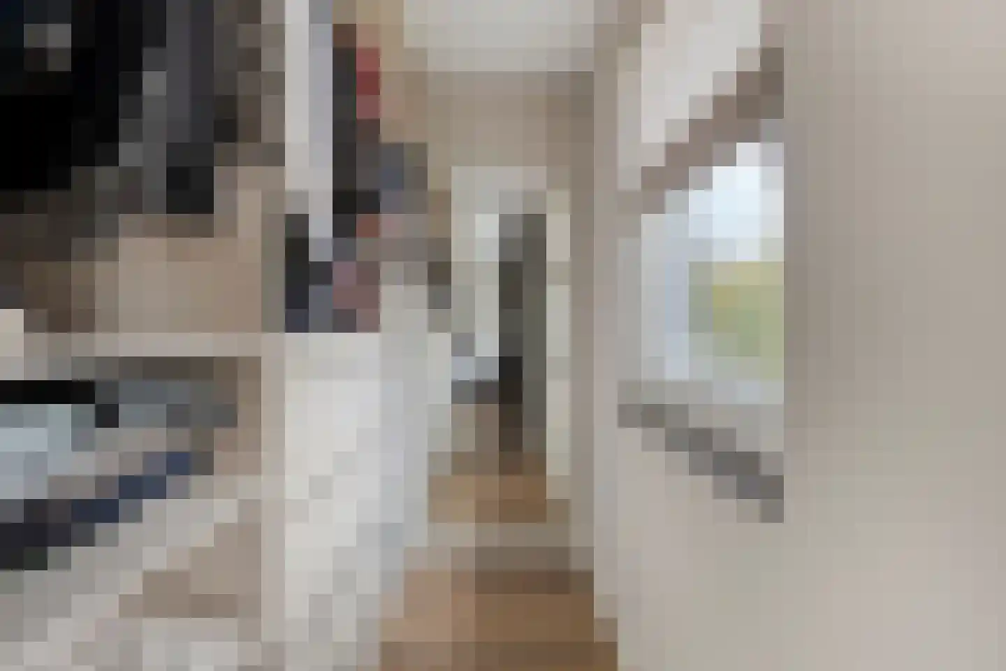 Arthur van Schendelstraat 35 Gemert thumbnail 28