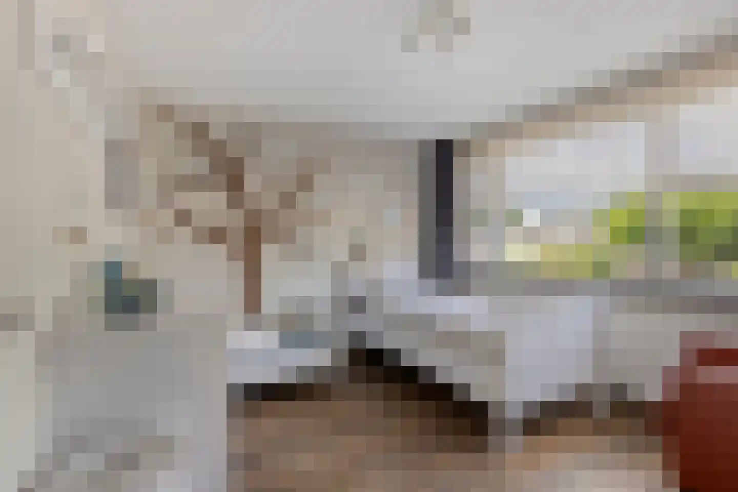 Arthur van Schendelstraat 35 Gemert thumbnail 33