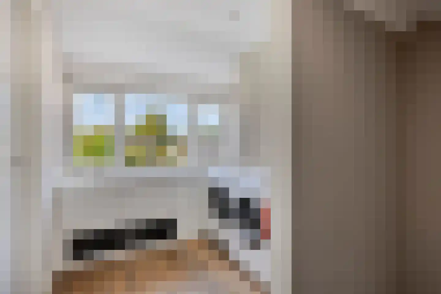 Arthur van Schendelstraat 35 Gemert thumbnail 36