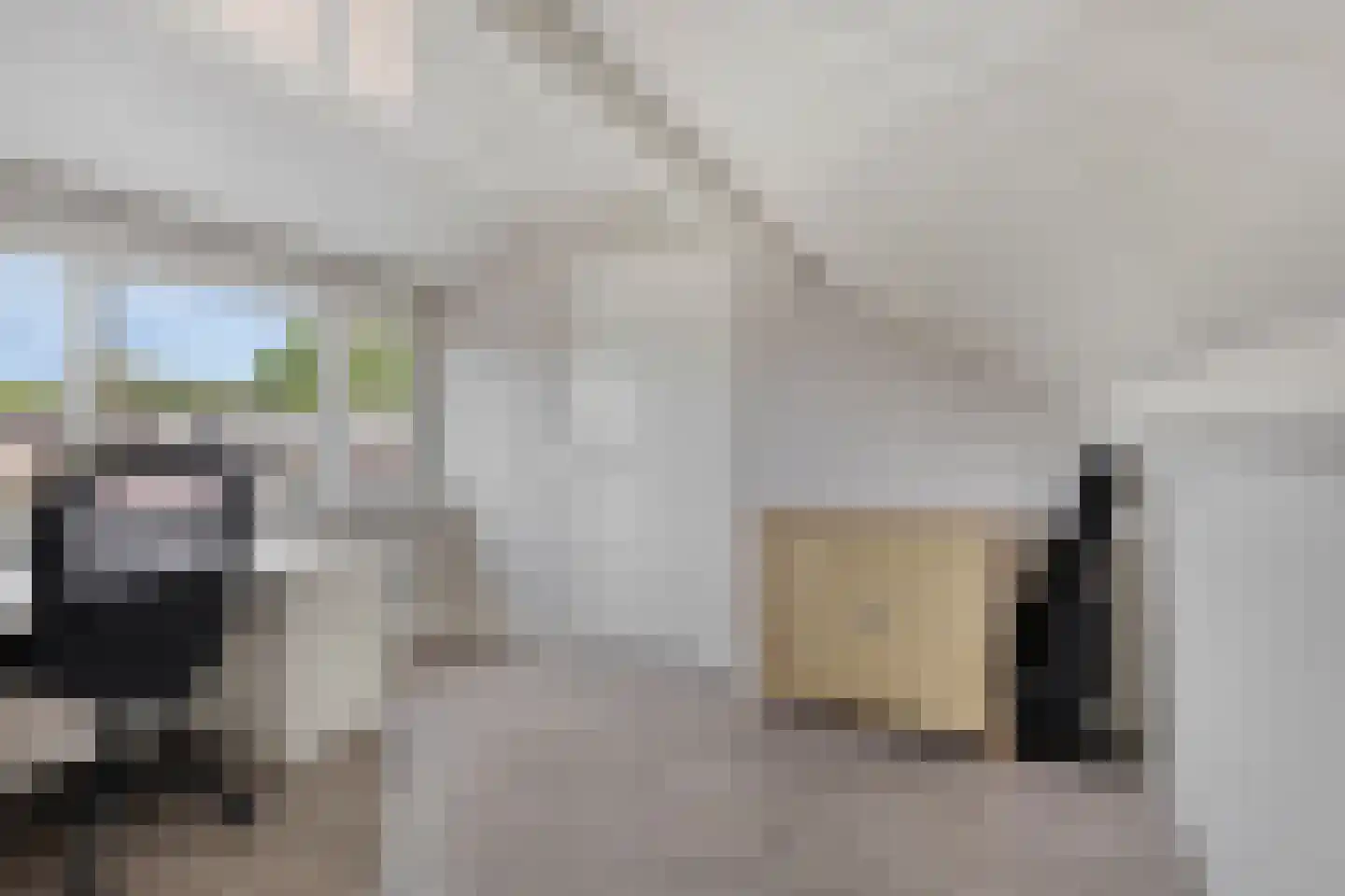 Arthur van Schendelstraat 35 Gemert thumbnail 39