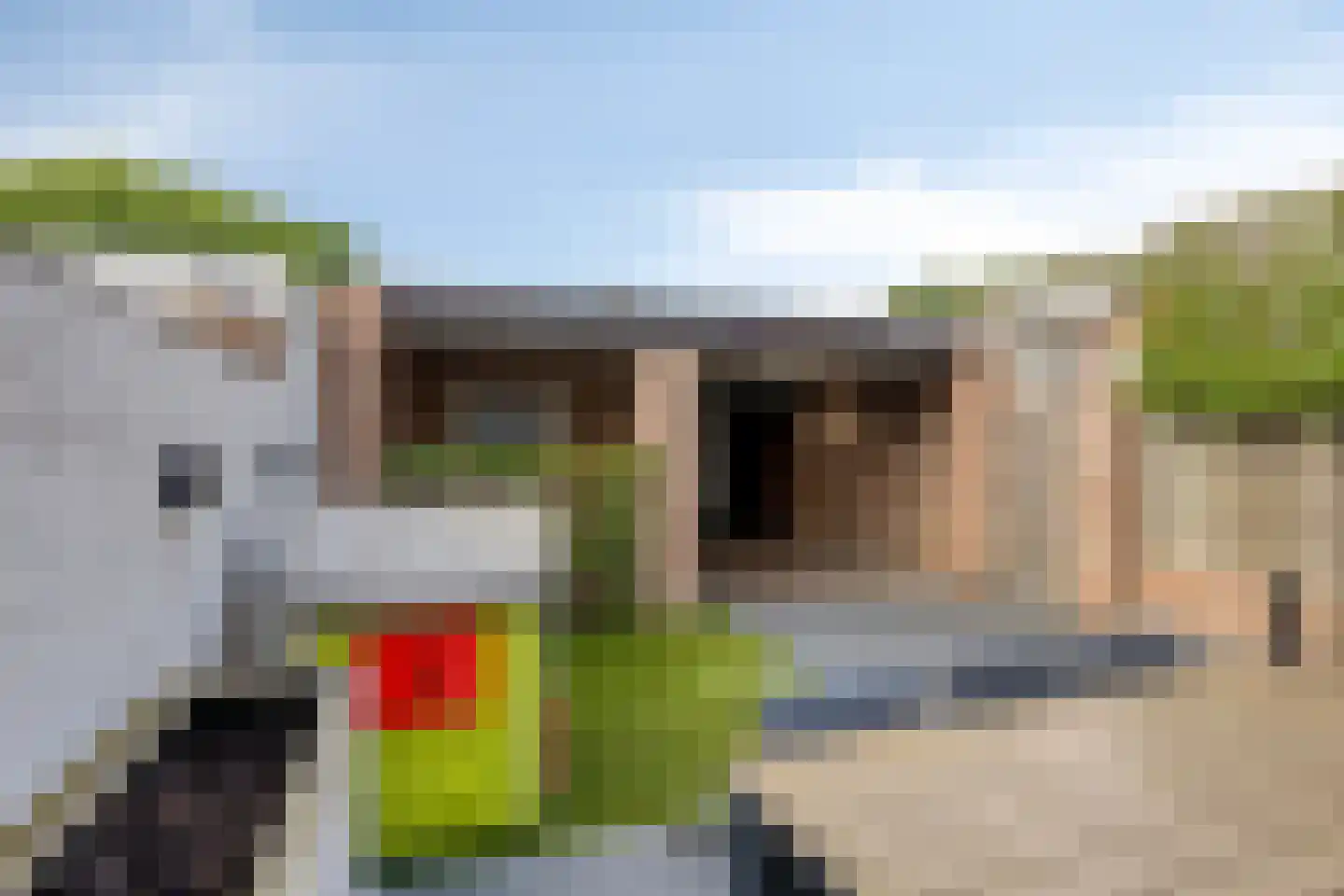 Arthur van Schendelstraat 35 Gemert thumbnail 42