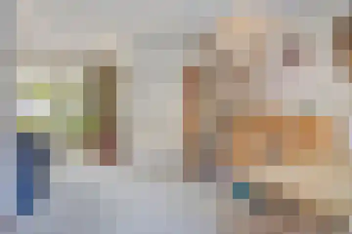 Arthur van Schendelstraat 4 Gemert thumbnail 14