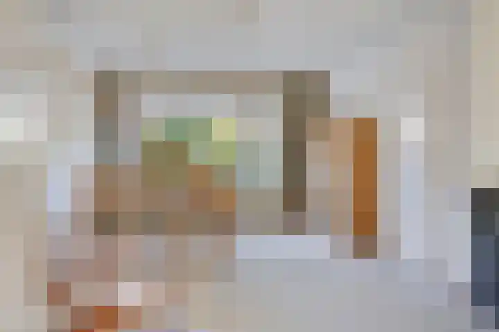 Arthur van Schendelstraat 4 Gemert thumbnail 16