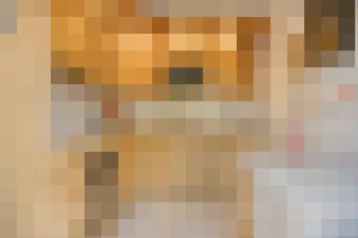 Arthur van Schendelstraat 4 Gemert thumbnail 18