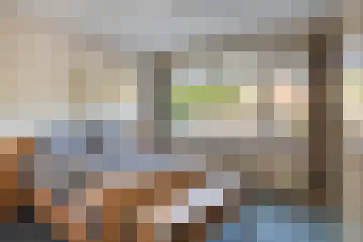 Arthur van Schendelstraat 4 Gemert thumbnail 21
