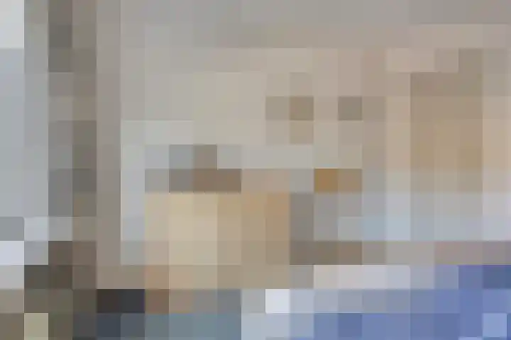 Arthur van Schendelstraat 4 Gemert thumbnail 22