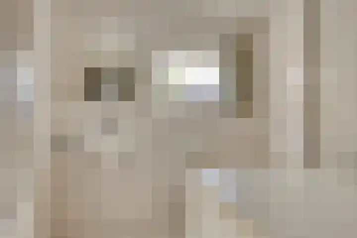 Arthur van Schendelstraat 4 Gemert thumbnail 25