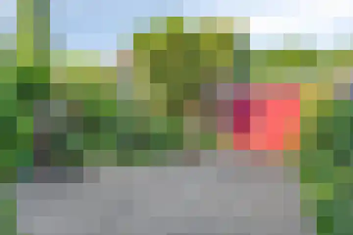 Arthur van Schendelstraat 4 Gemert thumbnail 32