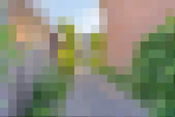 Arthur van Schendelstraat 4 Gemert thumbnail 33
