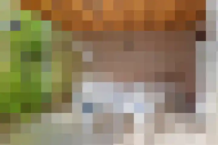 Arthur van Schendelstraat 4 Gemert thumbnail 34