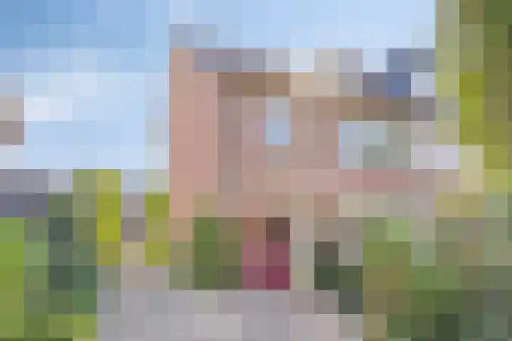 Arthur van Schendelstraat 4 Gemert thumbnail 35