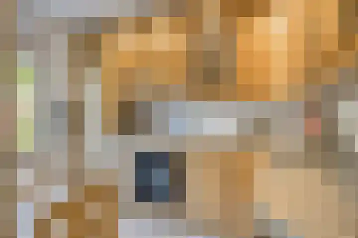 Arthur van Schendelstraat 4 Gemert thumbnail 4