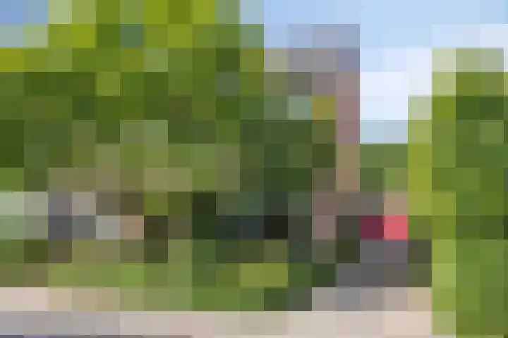 Arthur van Schendelstraat 4 Gemert thumbnail 6