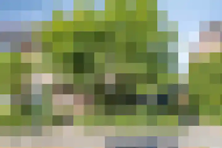 Arthur van Schendelstraat 4 Gemert thumbnail 8