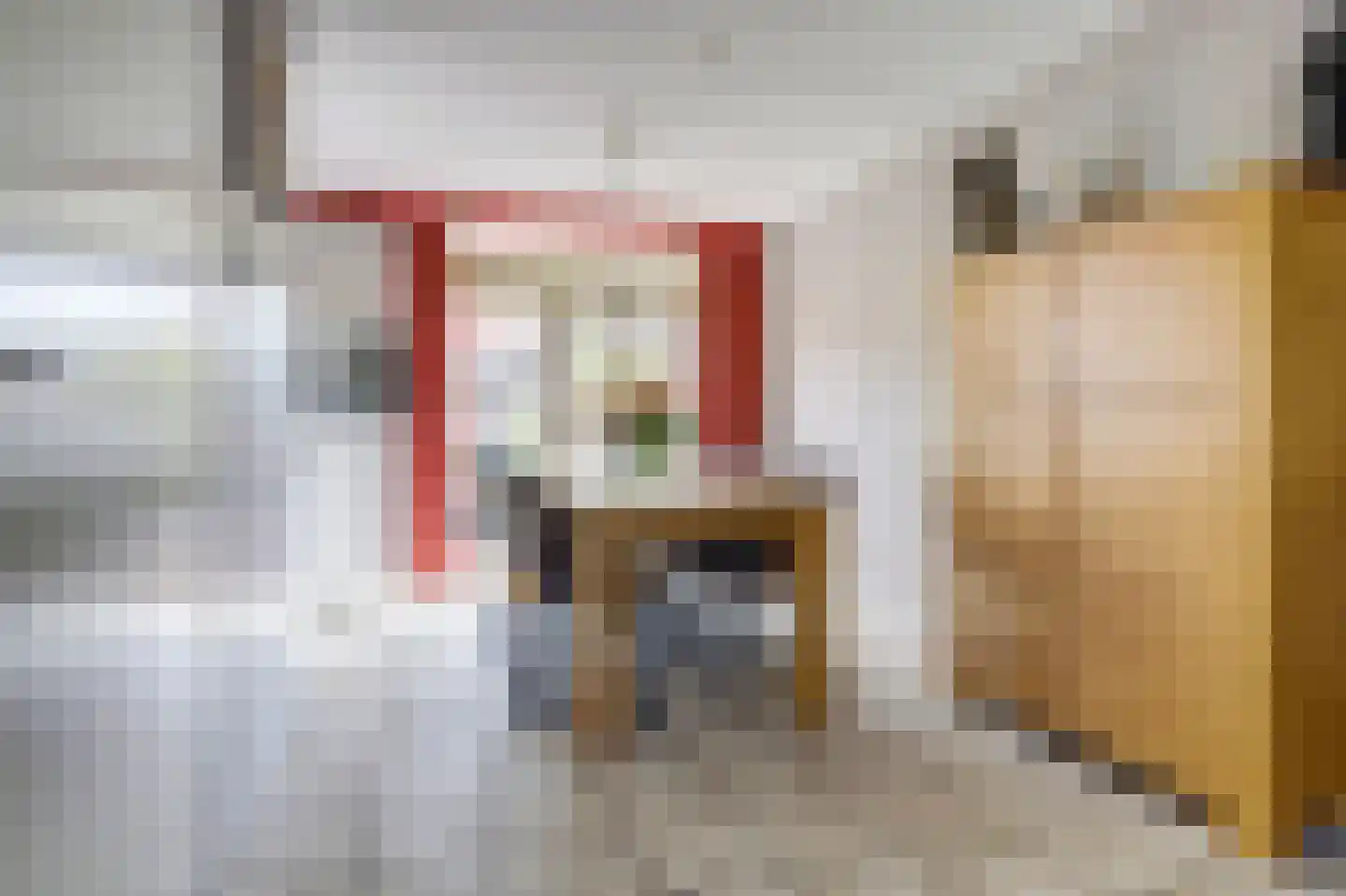 Arthur van Schendelstraat 5 Dongen thumbnail 13