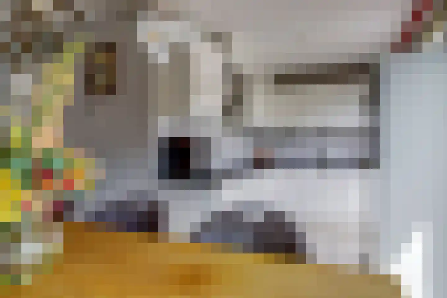 Arthur van Schendelstraat 5 Dongen thumbnail 14