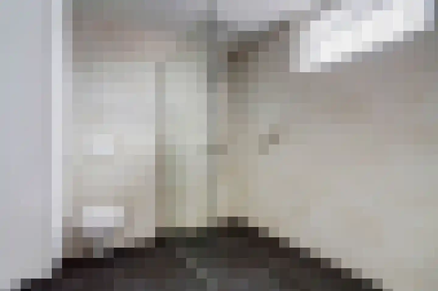 Arthur van Schendelstraat 5 Dongen thumbnail 26