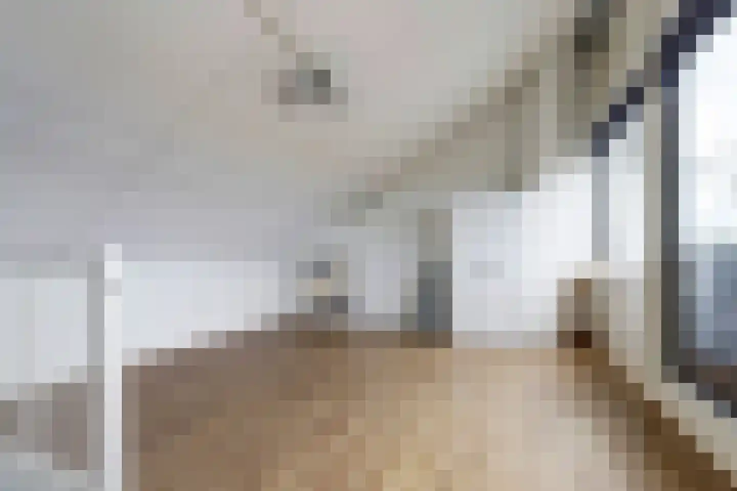 Arthur van Schendelstraat 5 Dongen thumbnail 29