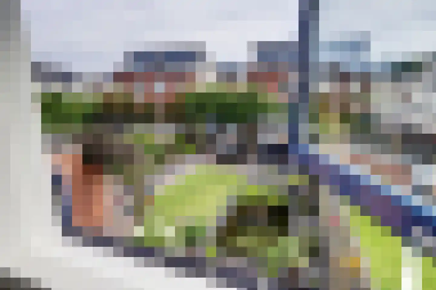 Arthur van Schendelstraat 5 Dongen thumbnail 31