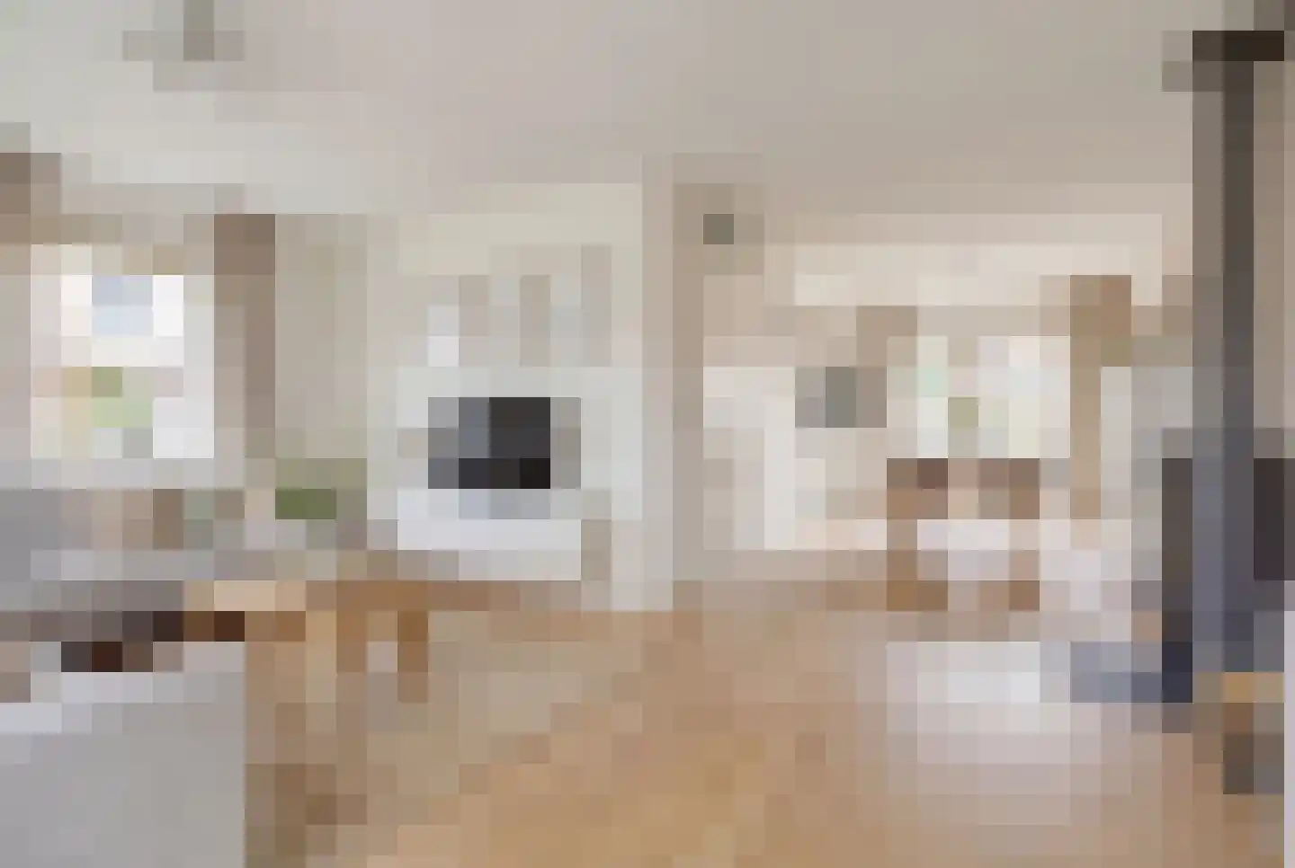 Arthur van Schendelstraat 5 Dongen thumbnail 7