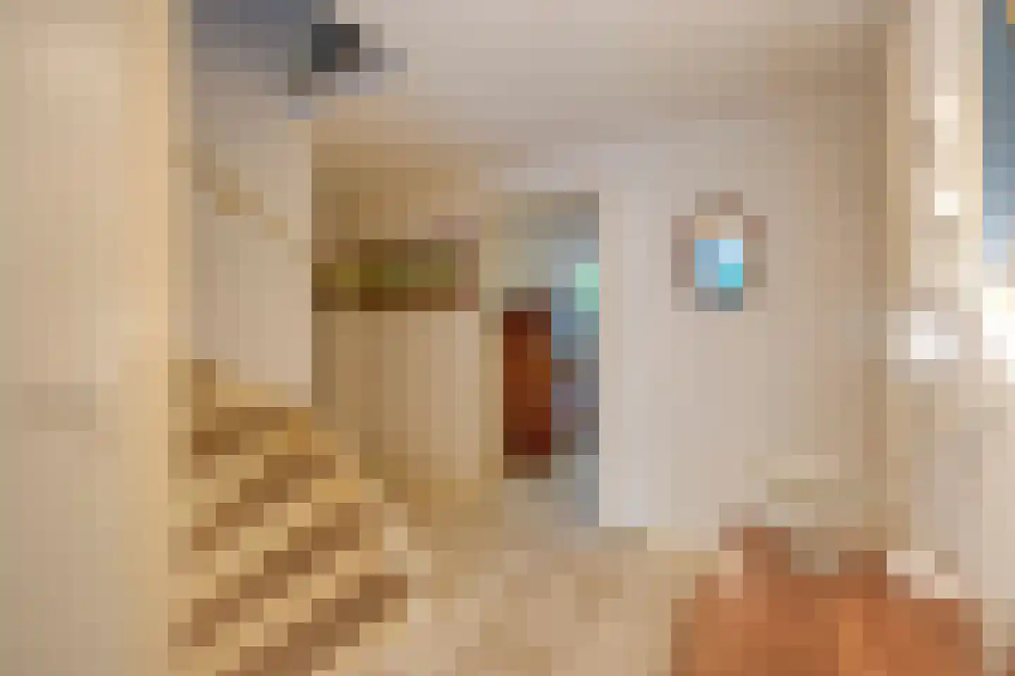 Arthur van Schendelstraat 50 Utrecht thumbnail 9