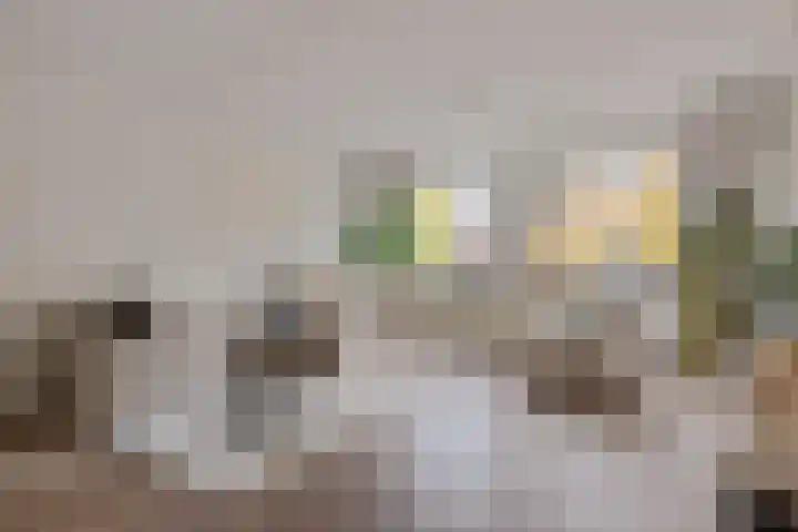 Arthur van Schendelstraat 55 Utrecht thumbnail 4