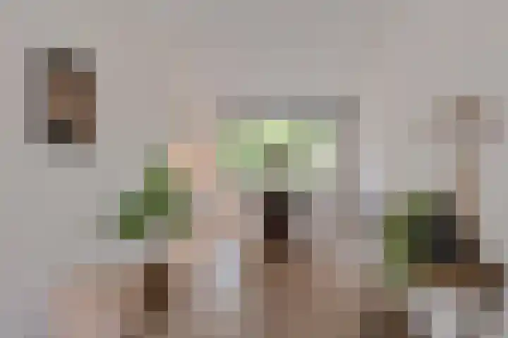 Arthur van Schendelstraat 55 Utrecht thumbnail 7