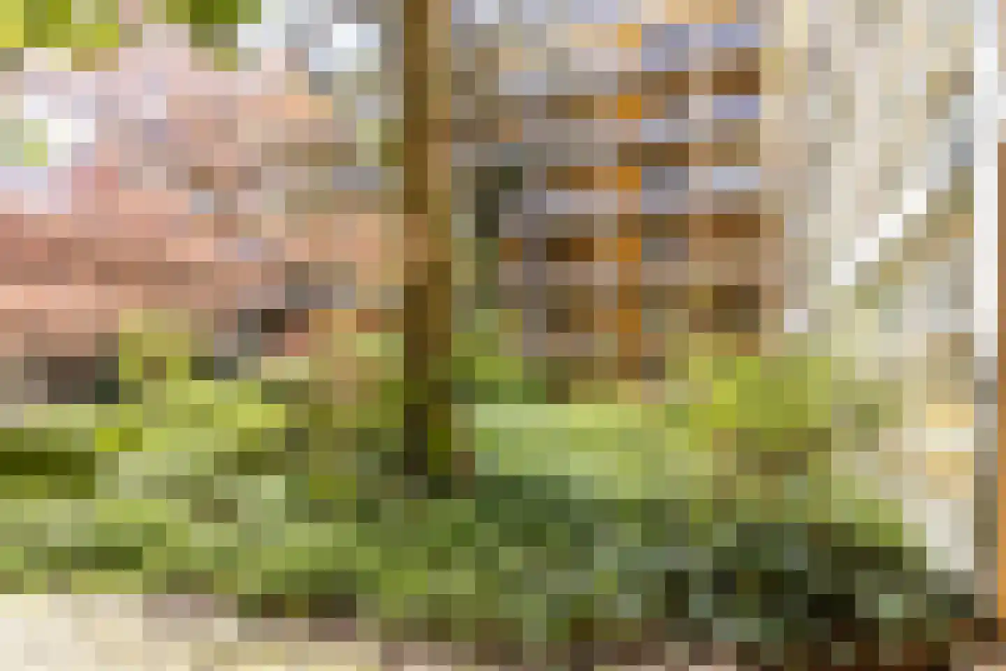 Arthur van Schendelstraat 643 Utrecht thumbnail 23