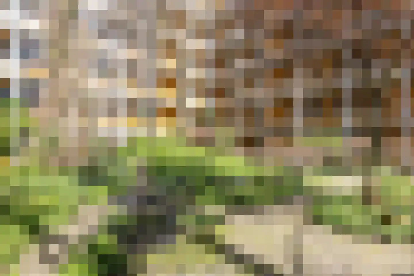 Arthur van Schendelstraat 643 Utrecht thumbnail 24
