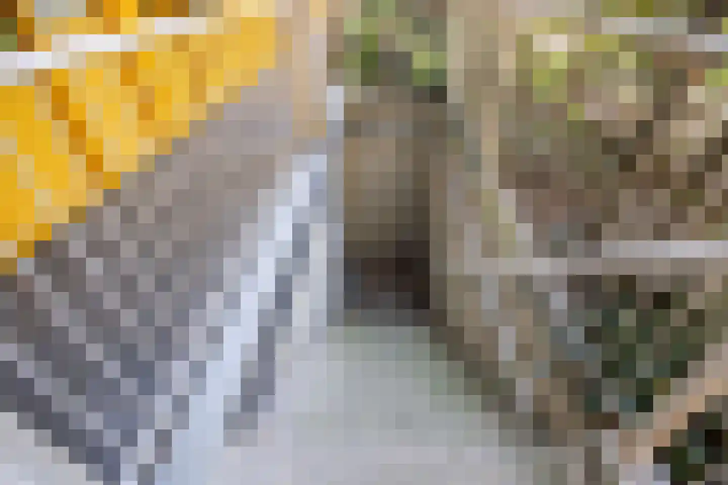 Arthur van Schendelstraat 643 Utrecht thumbnail 25