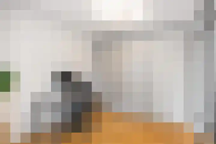 Arthur van Schendelstraat 655 Utrecht thumbnail 14
