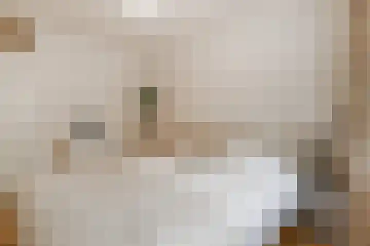 Arthur van Schendelstraat 655 Utrecht thumbnail 21