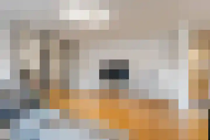 Arthur van Schendelstraat 655 Utrecht thumbnail 6