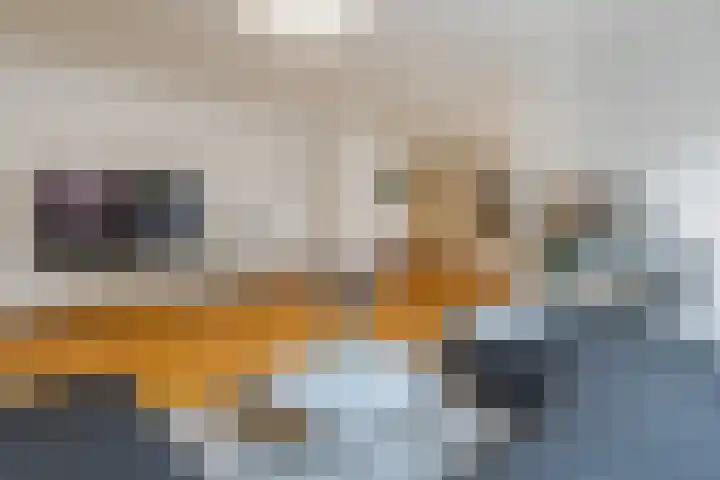 Arthur van Schendelstraat 655 Utrecht thumbnail 7