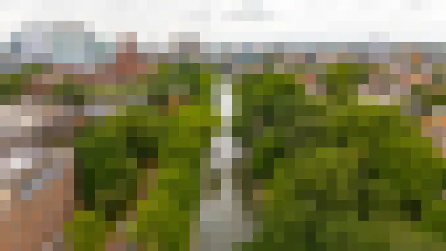 Arthur van Schendelstraat 657 Utrecht thumbnail 41