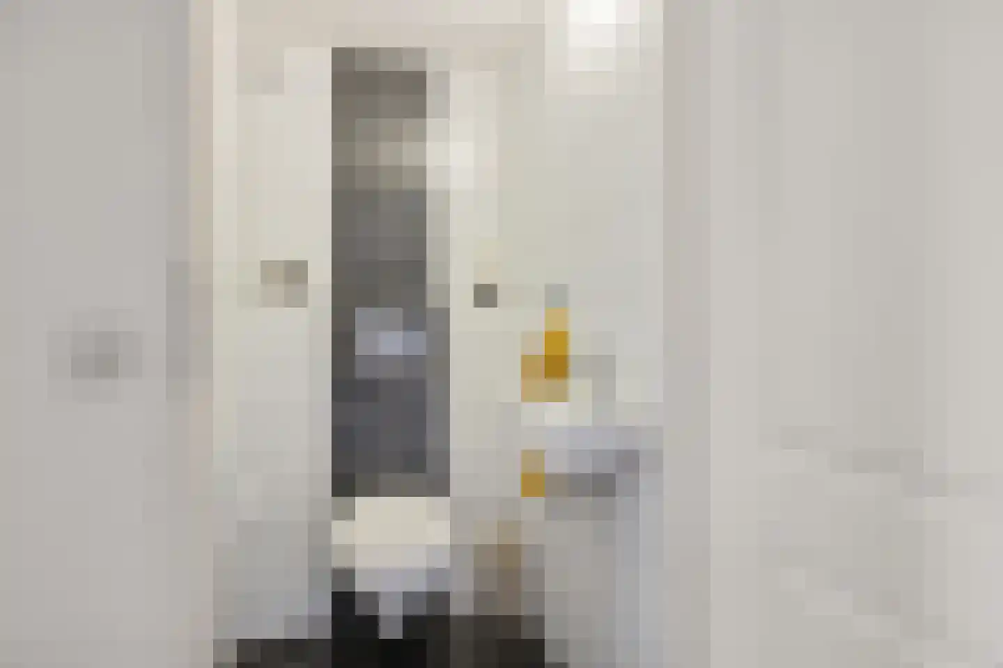 Arthur van Schendelstraat 70 Utrecht thumbnail 28