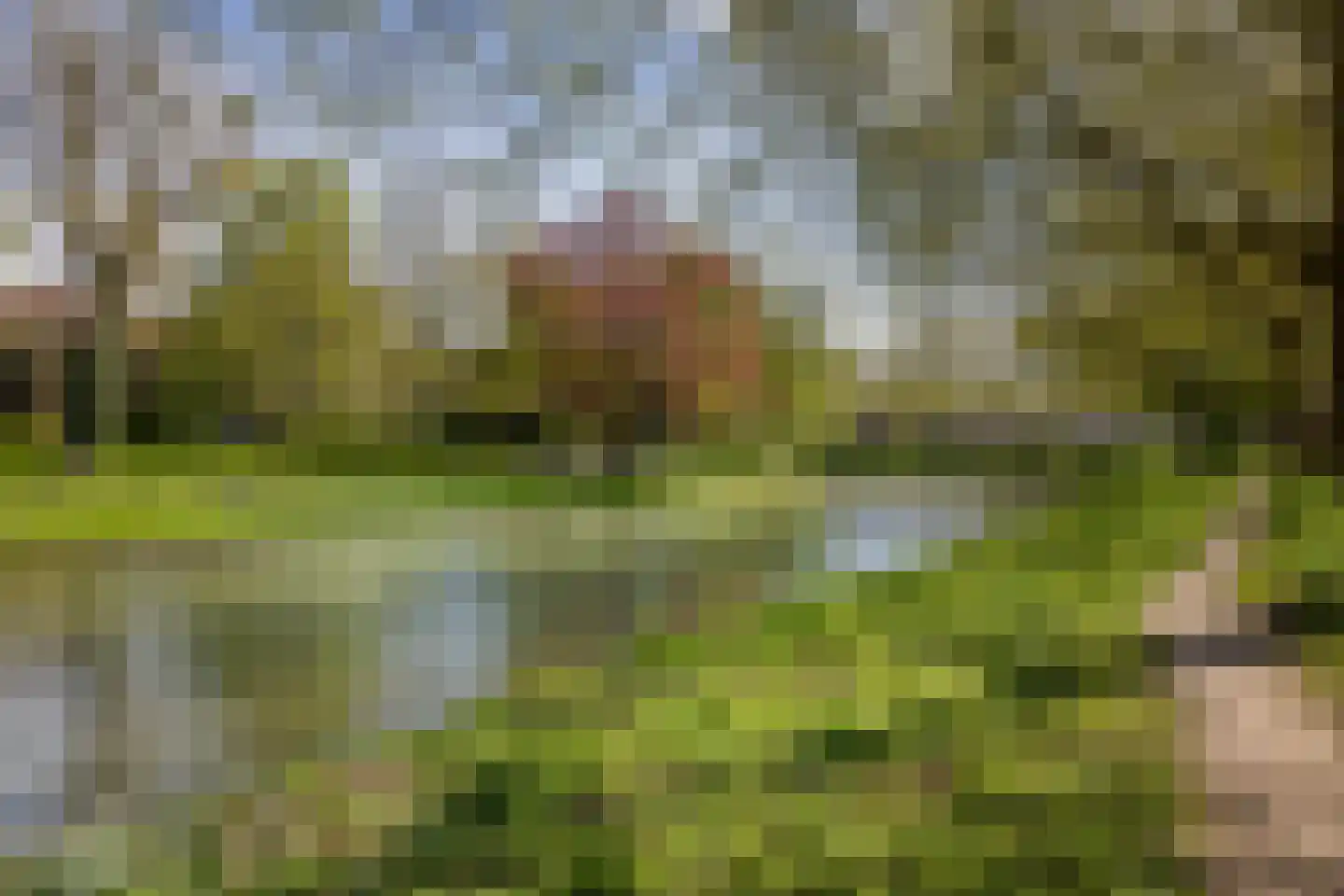 Arthur van Schendelstraat 70 Utrecht thumbnail 33