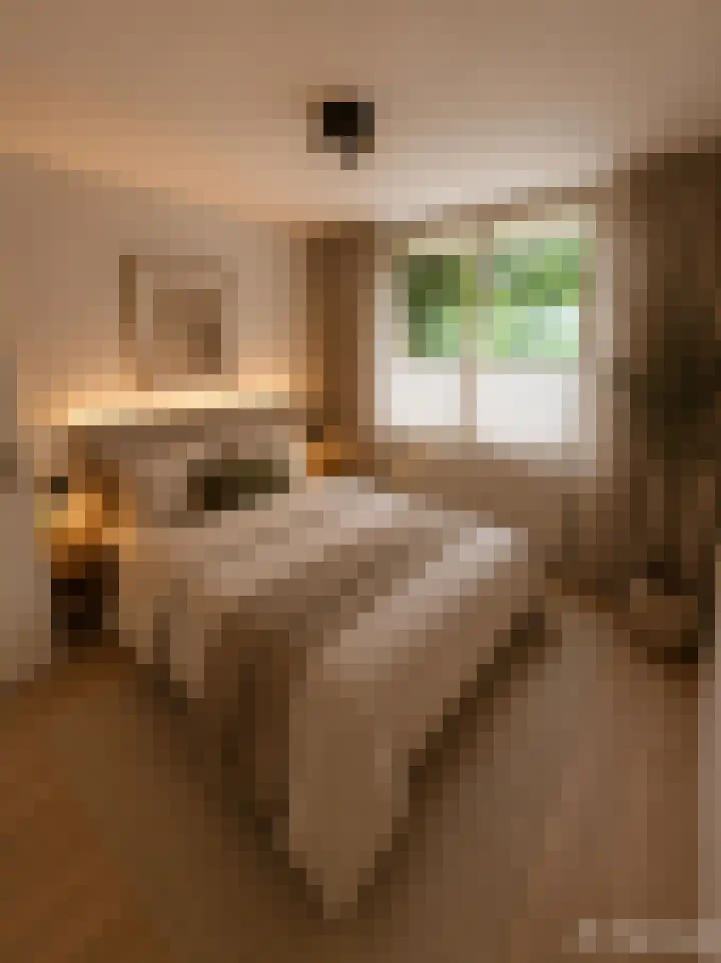 Arthur van Schendelstraat 725 Utrecht thumbnail 22