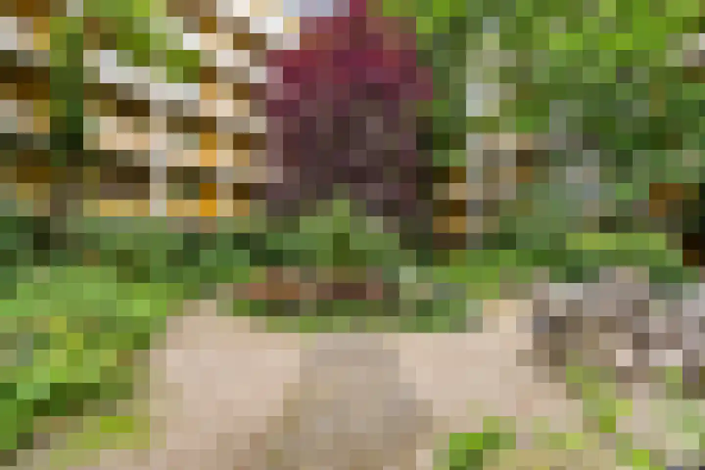 Arthur van Schendelstraat 725 Utrecht thumbnail 32