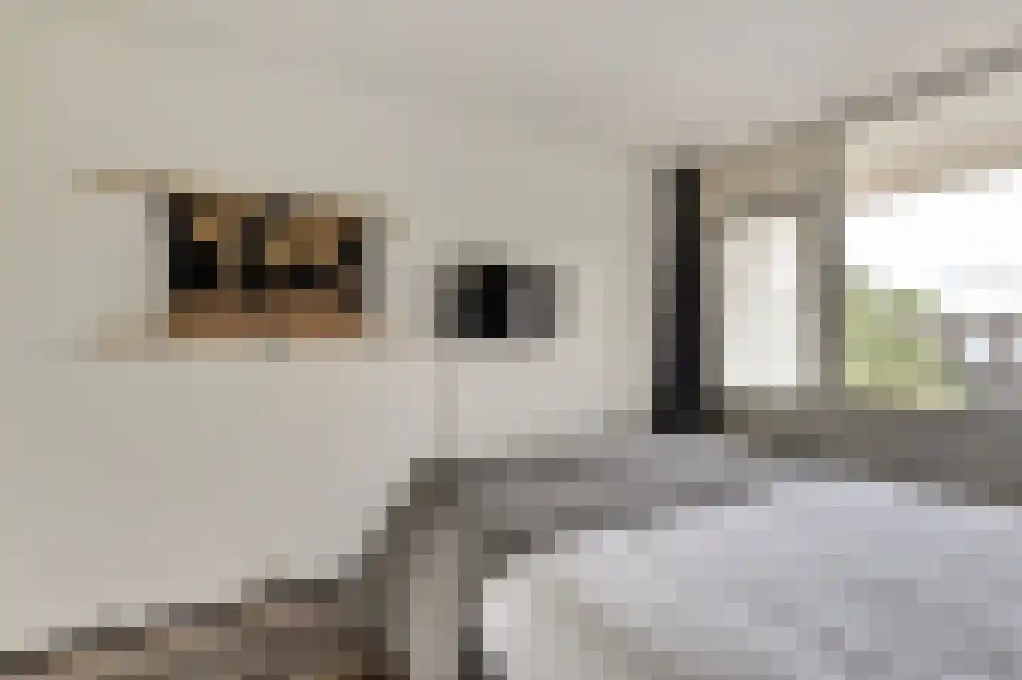 Arthur van Schendelstraat 729 Utrecht thumbnail 12